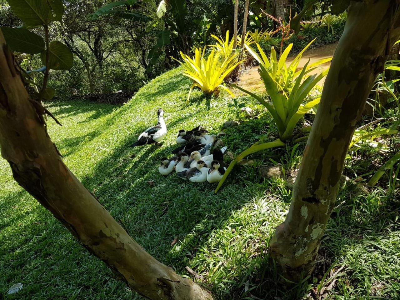 Pousada Rancho Flores Каэте Экстерьер фото