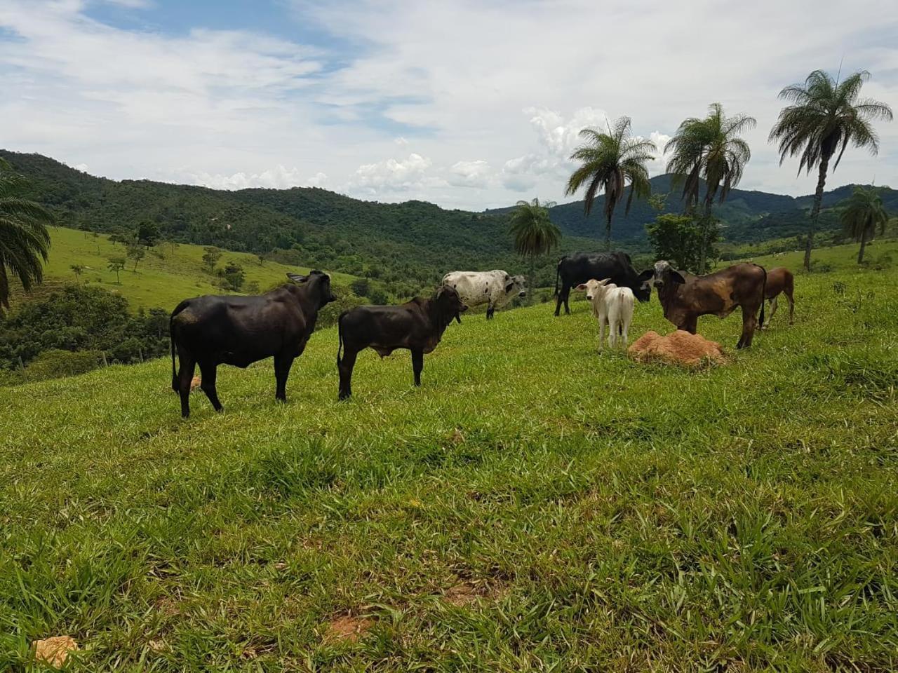 Pousada Rancho Flores Каэте Экстерьер фото